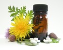 Read More on The Benefits of Homeopathy image