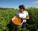 FOOD AND FARMING RESOURCES image