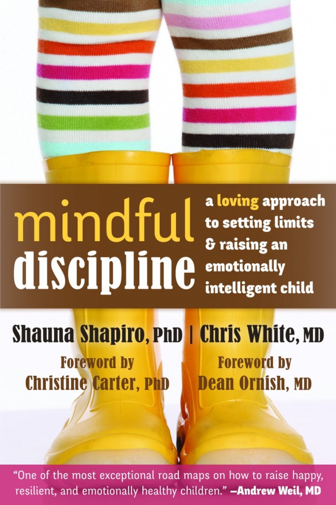 MindfulDiscipline Cover 