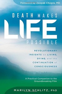 Death Makes Life Possible Book