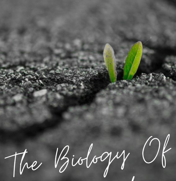 3973a35e0437659801a1dc49d8fdaf8a