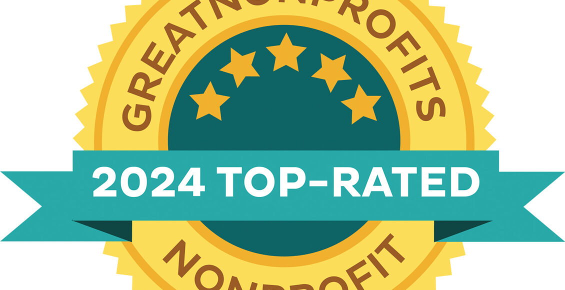 Great Nonprofit Award 2024