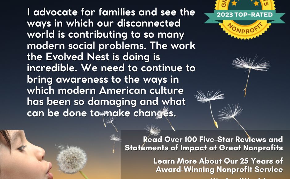 Great Nonprofits Quote 3 2023