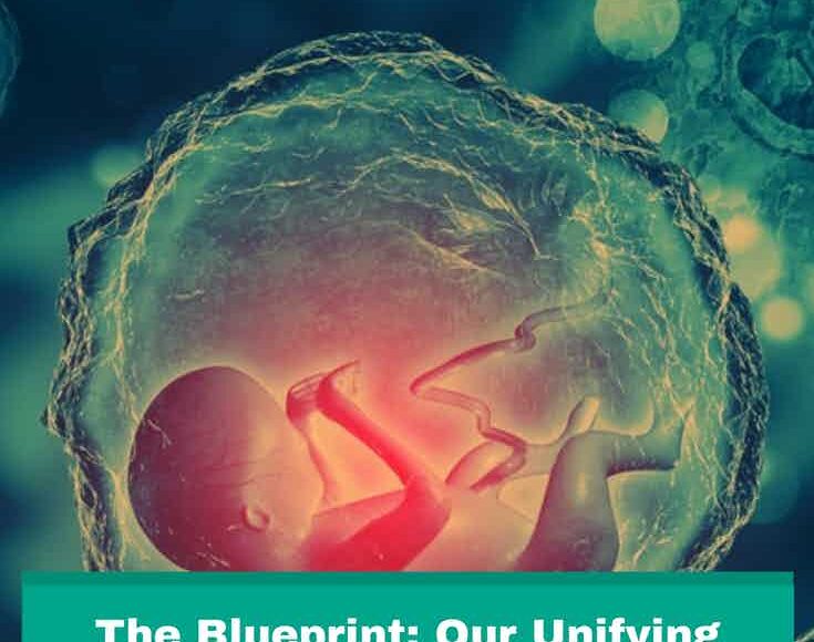 Kindred Pinterest Blueprint Ray Interview