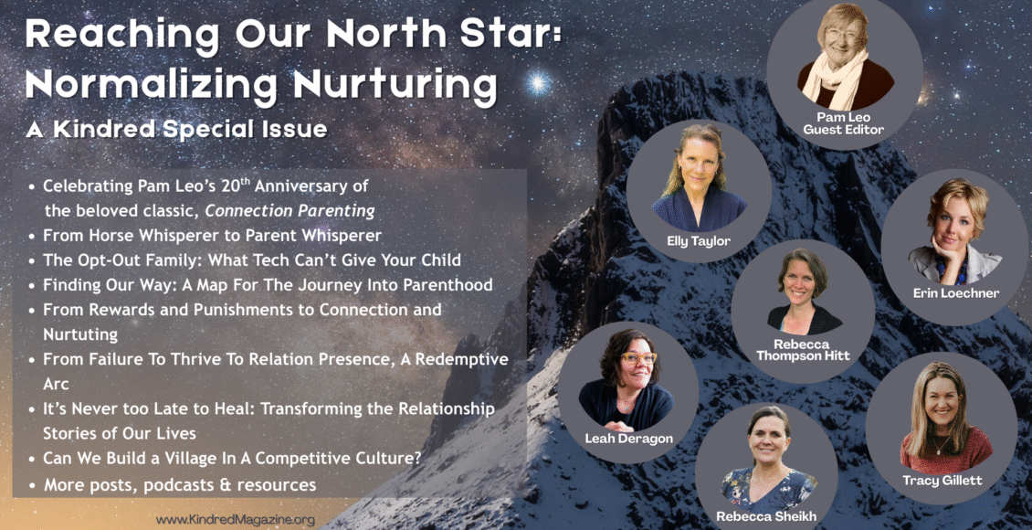 North Star Issue Kindred Summer 2025 Graphic
