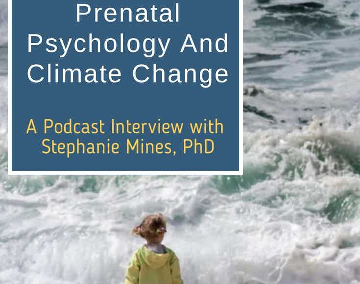 Pinterest climate change and prenatal psychology