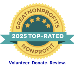 Top Rated Award 2025