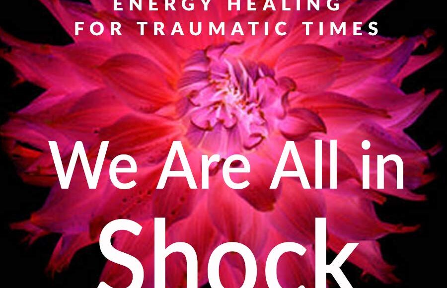 We are all in shock 2020