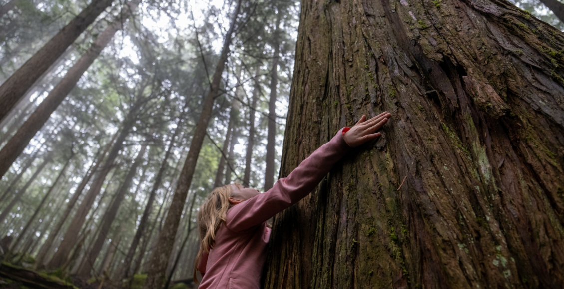 Little girl hugging tall tree outside with both hands outstretched