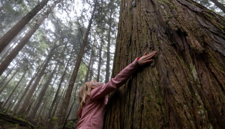 Little girl hugging tall tree outside with both hands outstretched